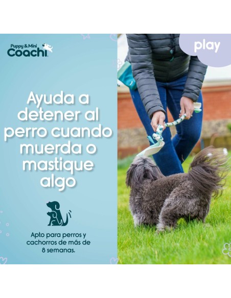 Harnais pour Chien Coachi