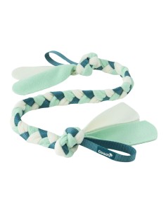 Harnais pour Chien Coachi 2