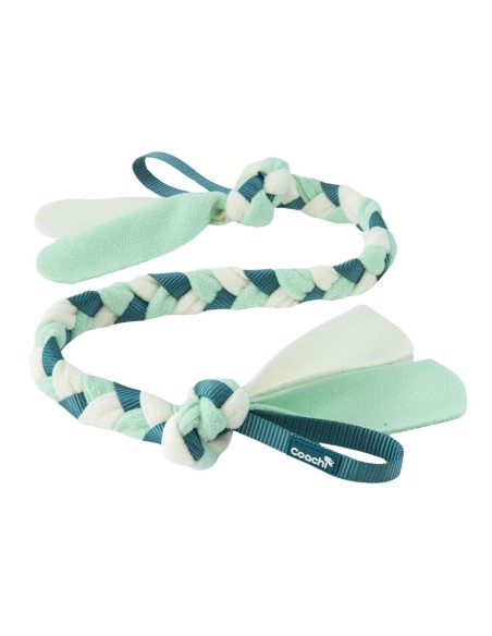 Harnais pour Chien Coachi