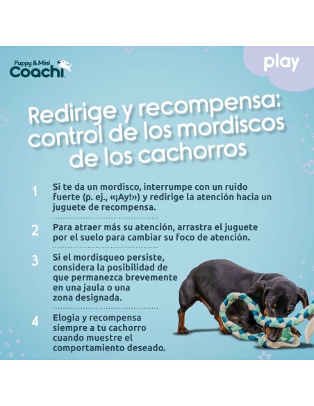 Harnais pour Chien Coachi