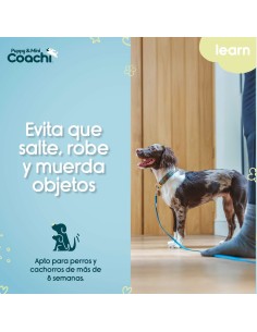 Harnais pour Chien Coachi