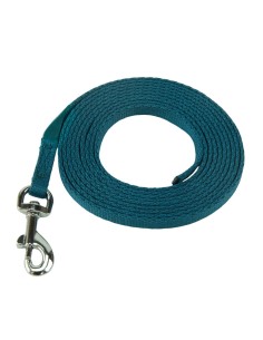 Harnais pour Chien Coachi 2