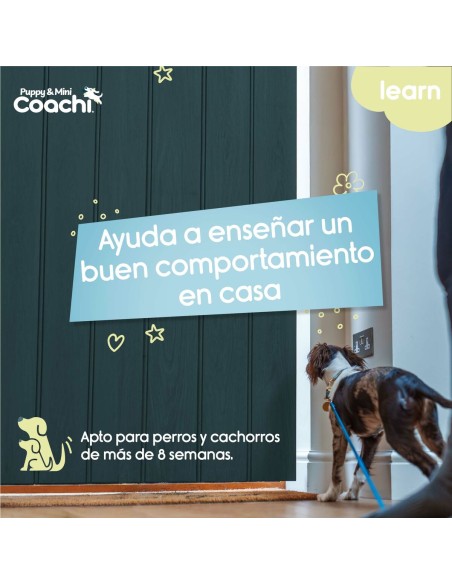Harnais pour Chien Coachi