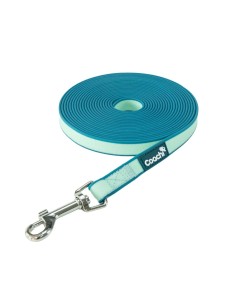 Harnais pour Chien Coachi 2