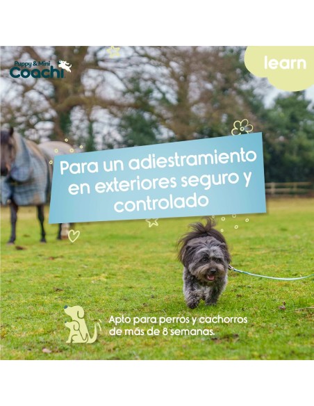 Harnais pour Chien Coachi