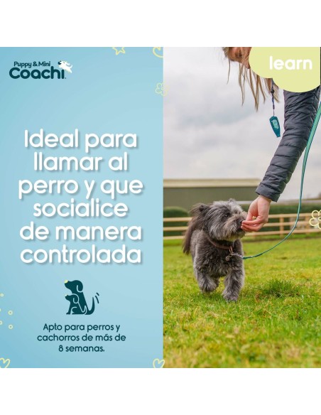 Harnais pour Chien Coachi