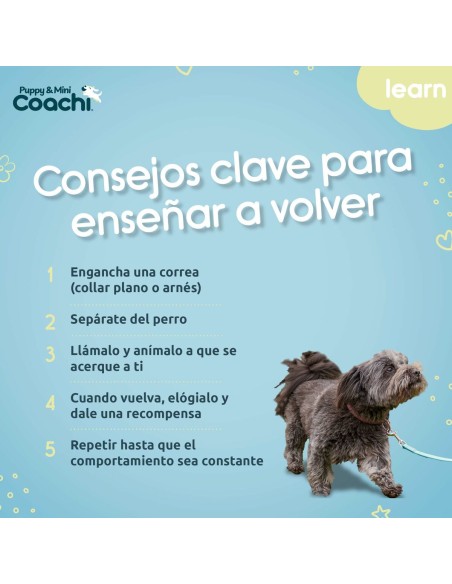 Harnais pour Chien Coachi