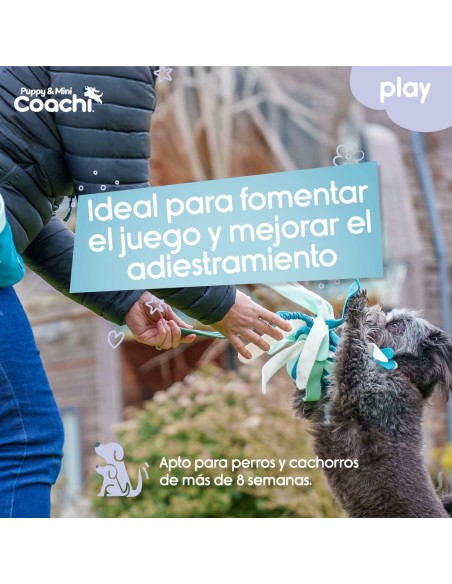 Harnais pour Chien Coachi