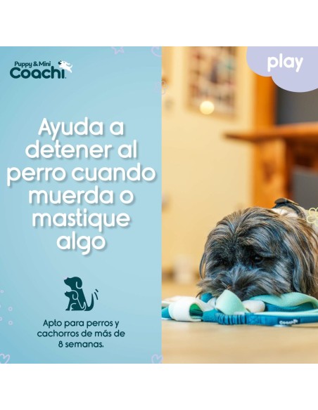 Harnais pour Chien Coachi