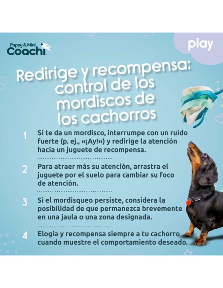 Harnais pour Chien Coachi