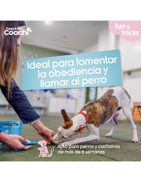 Harnais pour Chien Coachi
