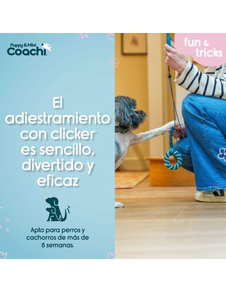 Harnais pour Chien Coachi