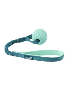 Harnais pour Chien Coachi 2