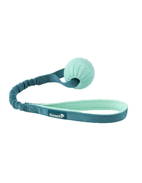 Harnais pour Chien Coachi