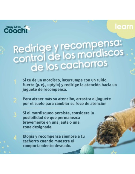 Harnais pour Chien Coachi