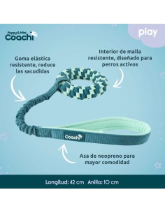Harnais pour Chien Coachi