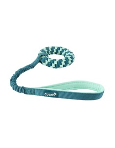 Harnais pour Chien Coachi 2