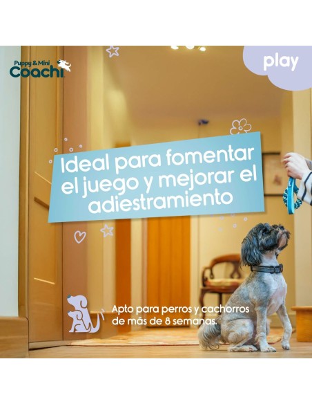 Harnais pour Chien Coachi