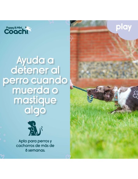Harnais pour Chien Coachi