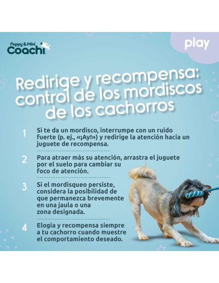 Harnais pour Chien Coachi