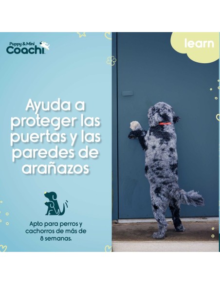 Harnais pour Chien Coachi