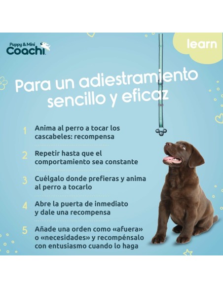 Harnais pour Chien Coachi