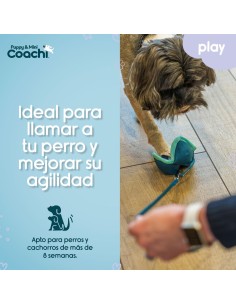 Harnais pour Chien Coachi