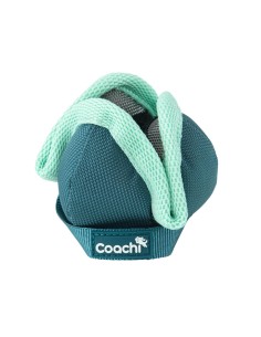 Harnais pour Chien Coachi 2