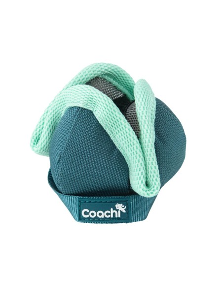 Harnais pour Chien Coachi