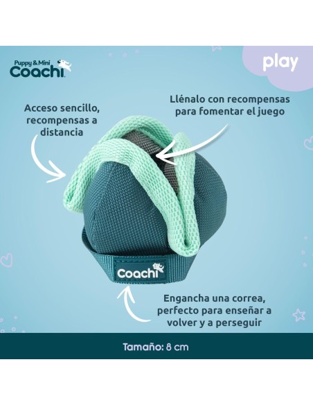 Harnais pour Chien Coachi