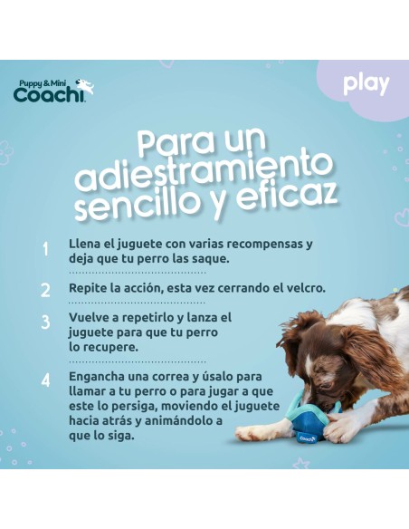 Harnais pour Chien Coachi