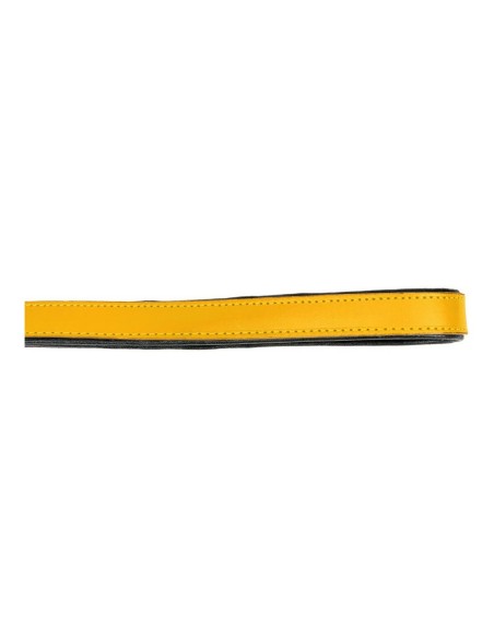 Laisse pour Chien Gloria 1.8 x 100 cm Jaune