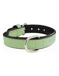 Collier pour Chien Gloria Rembourré Vert (55 x 2,5 cm)