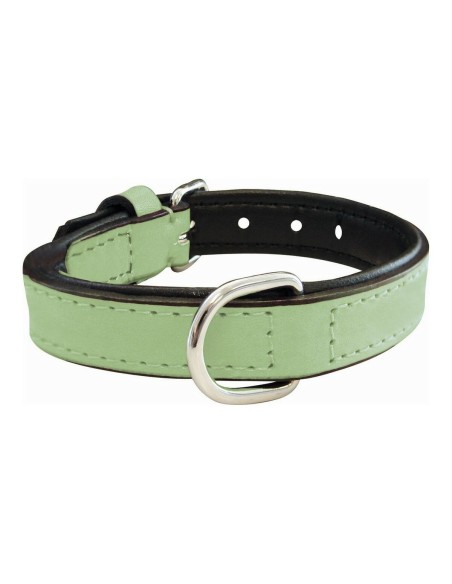 Collier pour Chien Gloria Rembourré Vert (55 x 2,5 cm)