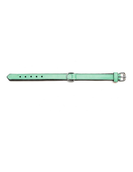 Collier pour Chien Gloria Rembourré Vert (55 x 2,5 cm)