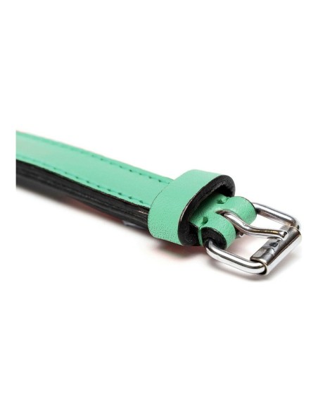 Collier pour Chien Gloria Rembourré Vert (55 x 2,5 cm)