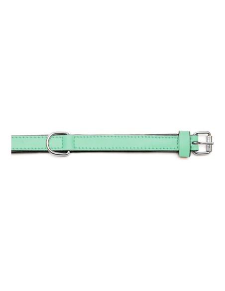 Collier pour Chien Gloria Rembourré Vert (55 x 2,5 cm)