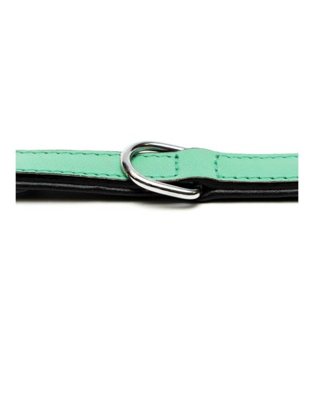 Collier pour Chien Gloria Rembourré Vert (55 x 2,5 cm)