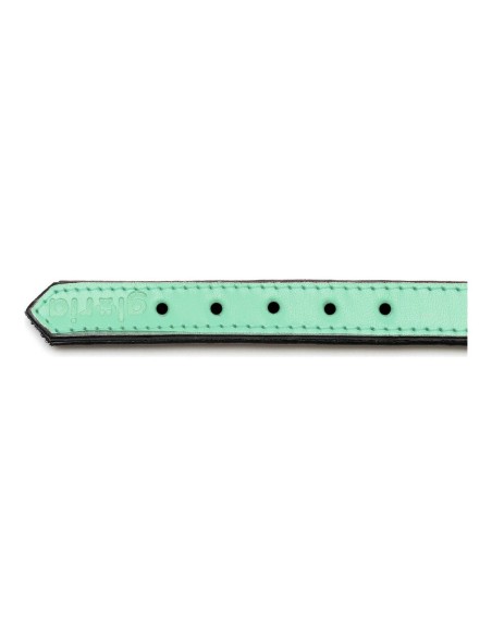 Collier pour Chien Gloria Rembourré Vert (55 x 2,5 cm)