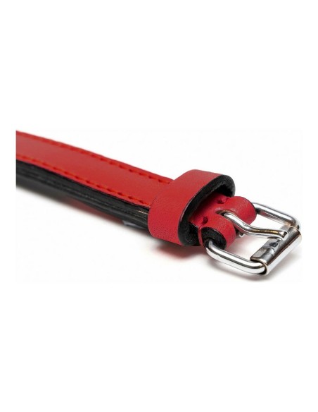 Collier pour Chien Gloria Rembourré Rouge 40 cm (40 x 2 cm)