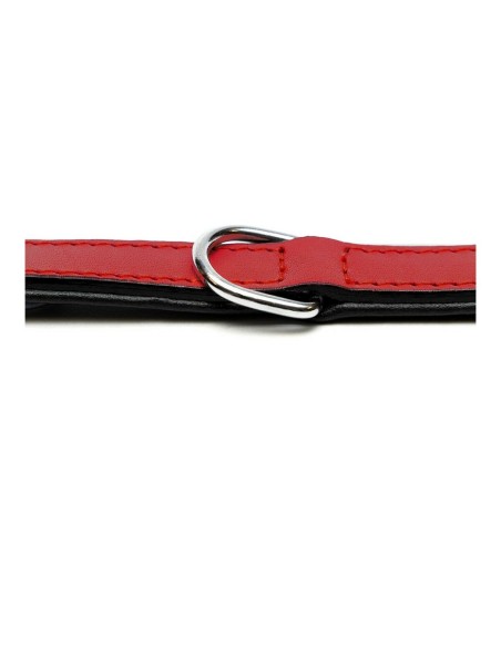 Collier pour Chien Gloria Rembourré Rouge 40 cm (40 x 2 cm)