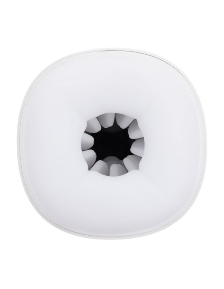 Vortex Dame Rose Playboy Playboy Blanc