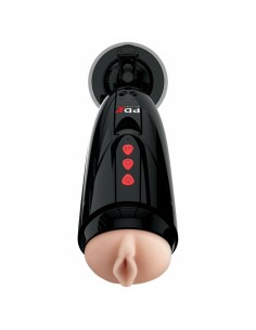 Vortex Dame Rose Pipedream