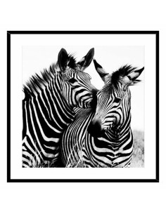 Cadre Zèbre Verre (2 x 50 x 50 cm)