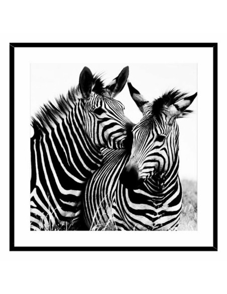 Cadre Zèbre Verre (2 x 50 x 50 cm)
