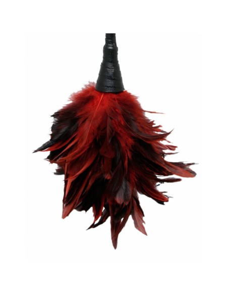 Chatouilleur à plumes Pipedream Fetish Fantasy Series Rouge