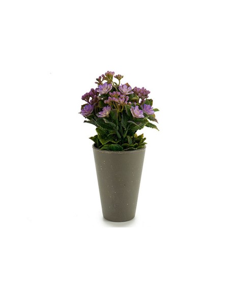 Plante décorative Ibergarden Plastique 11 x 22 x 11 cm