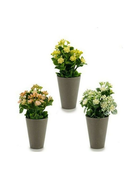 Plante décorative Ibergarden Plastique 11 x 22 x 11 cm