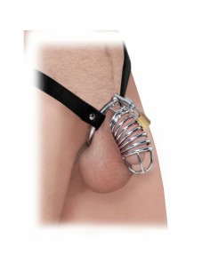 Cage à Pénis Chastity Pipedream Fetish Fantasy Extreme Argenté 2