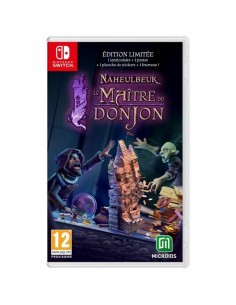 Jeu vidéo pour Switch Microids The Dungeon Master of Naheulbeuk